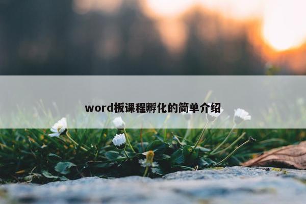 word板课程孵化的简单介绍