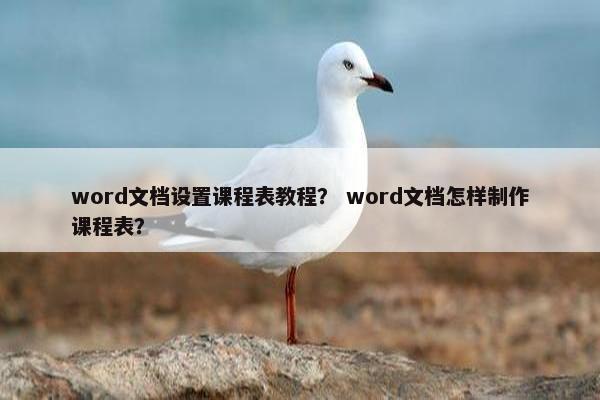 word文档设置课程表教程？ word文档怎样制作课程表？