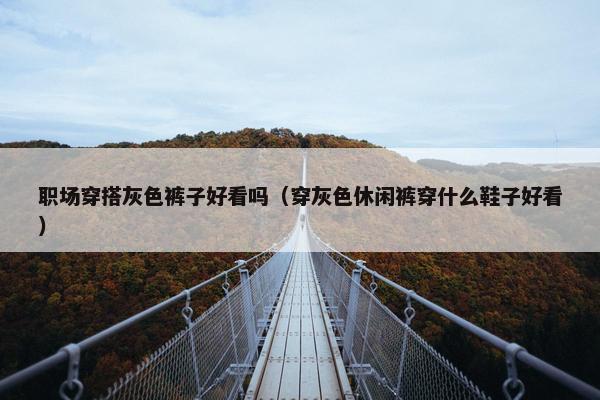 职场穿搭灰色裤子好看吗（穿灰色休闲裤穿什么鞋子好看）