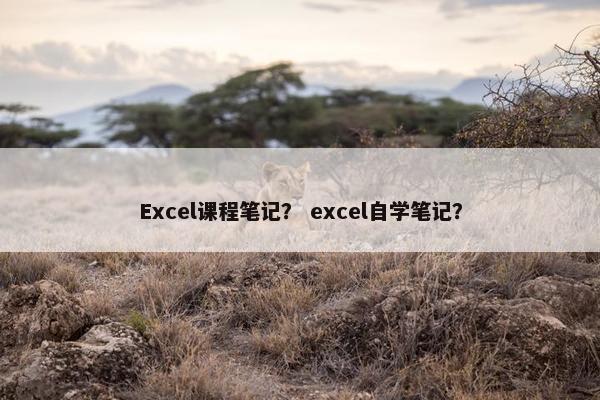 Excel课程笔记？ excel自学笔记？