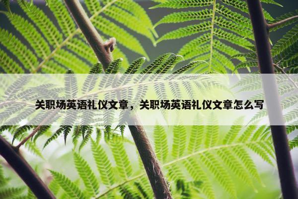 关职场英语礼仪文章，关职场英语礼仪文章怎么写