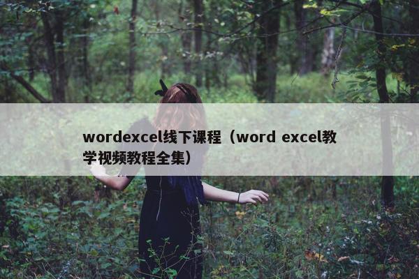 wordexcel线下课程（word excel教学视频教程全集）