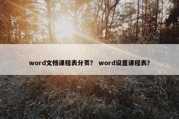 word文档课程表分页？ word设置课程表？