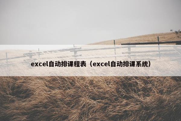 excel自动排课程表（excel自动排课系统）
