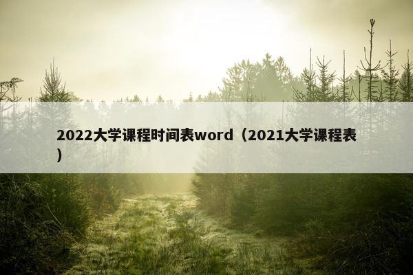 2022大学课程时间表word（2021大学课程表）