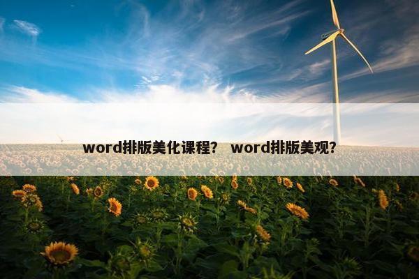 word排版美化课程？ word排版美观？