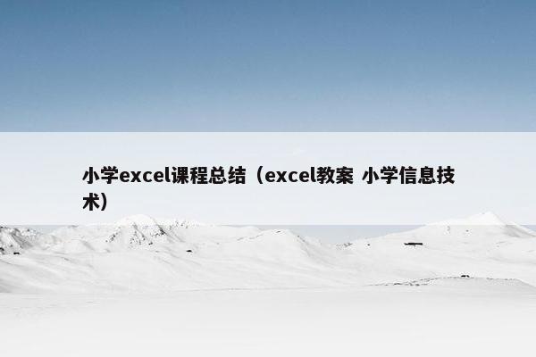 小学excel课程总结（excel教案 小学信息技术）