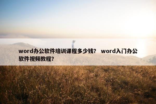 word办公软件培训课程多少钱？ word入门办公软件视频教程？