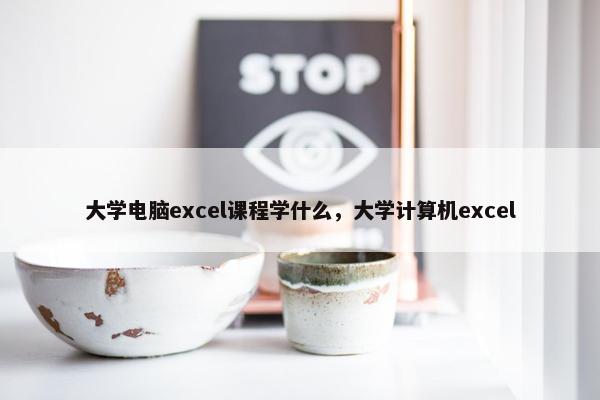 大学电脑excel课程学什么，大学计算机excel