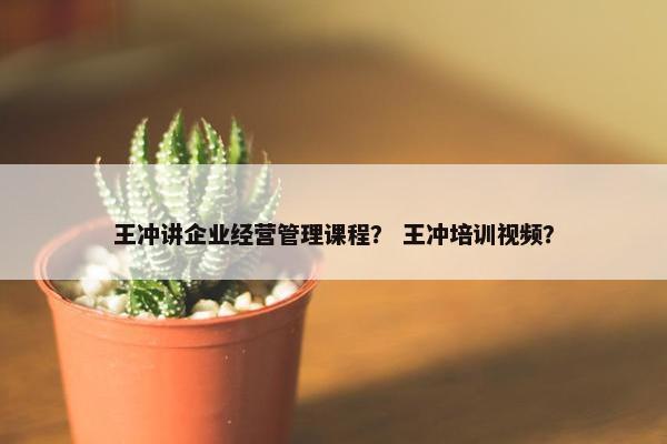 王冲讲企业经营管理课程？ 王冲培训视频？