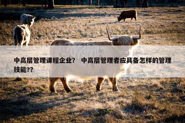 中高层管理课程企业？ 中高层管理者应具备怎样的管理技能?？