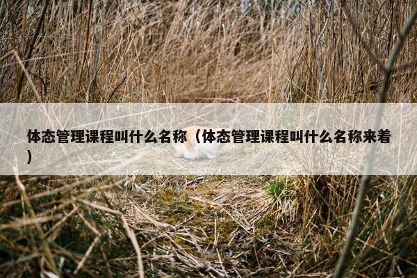 体态管理课程叫什么名称（体态管理课程叫什么名称来着）