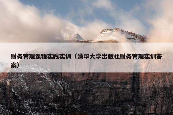 财务管理课程实践实训（清华大学出版社财务管理实训答案）