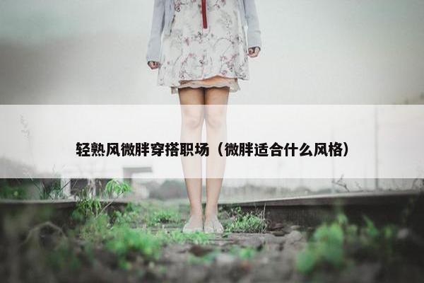 轻熟风微胖穿搭职场（微胖适合什么风格）
