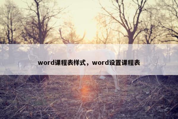word课程表样式，word设置课程表