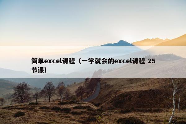 简单excel课程（一学就会的excel课程 25节课）