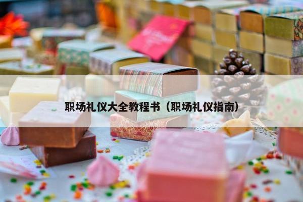职场礼仪大全教程书（职场礼仪指南）