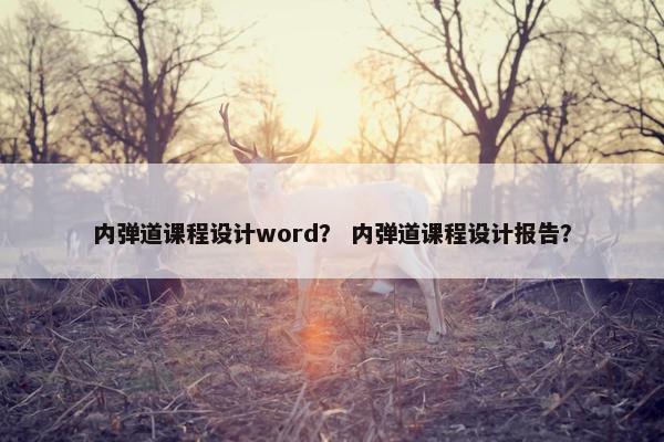 内弹道课程设计word？ 内弹道课程设计报告？