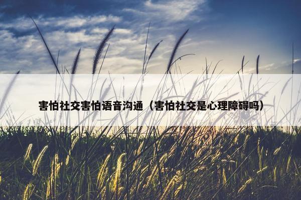害怕社交害怕语音沟通（害怕社交是心理障碍吗）