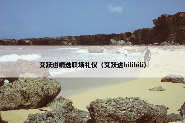 艾跃进精选职场礼仪（艾跃进bilibili）
