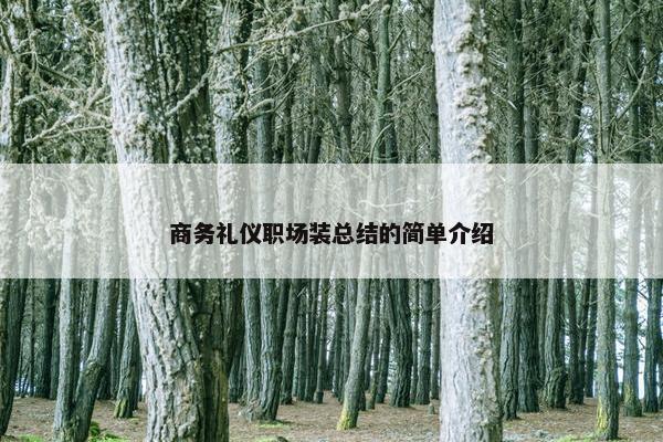 商务礼仪职场装总结的简单介绍