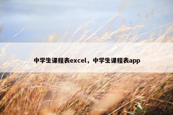 中学生课程表excel，中学生课程表app