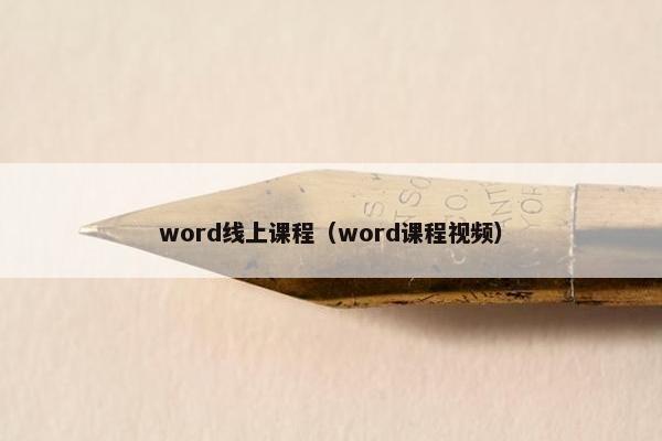 word线上课程（word课程视频）