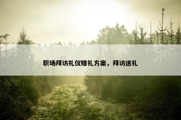 职场拜访礼仪赠礼方案，拜访送礼