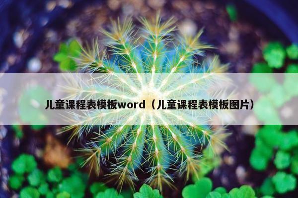 儿童课程表模板word（儿童课程表模板图片）