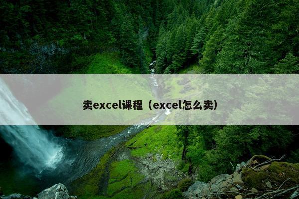 卖excel课程（excel怎么卖）