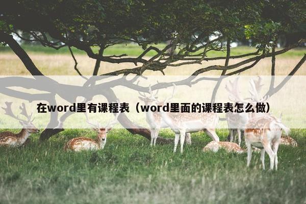 在word里有课程表（word里面的课程表怎么做）
