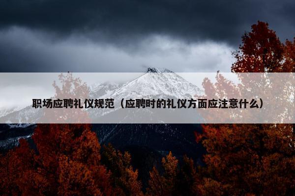 职场应聘礼仪规范（应聘时的礼仪方面应注意什么）