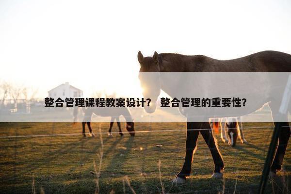 整合管理课程教案设计？ 整合管理的重要性？