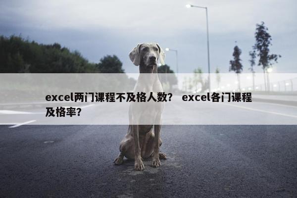 excel两门课程不及格人数？ excel各门课程及格率？