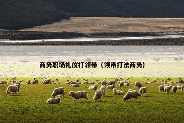 商务职场礼仪打领带（领带打法商务）