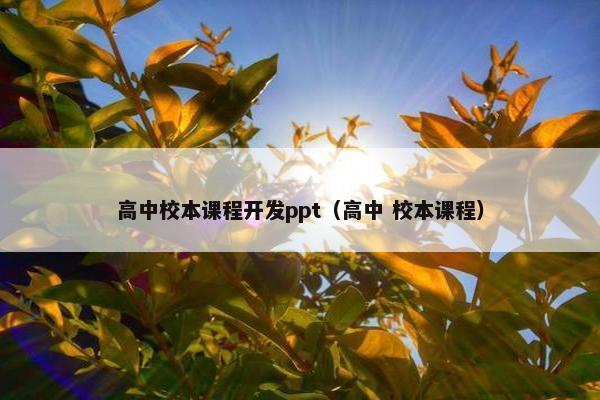 高中校本课程开发ppt（高中 校本课程）