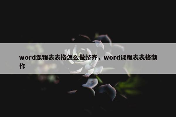 word课程表表格怎么做整齐，word课程表表格制作
