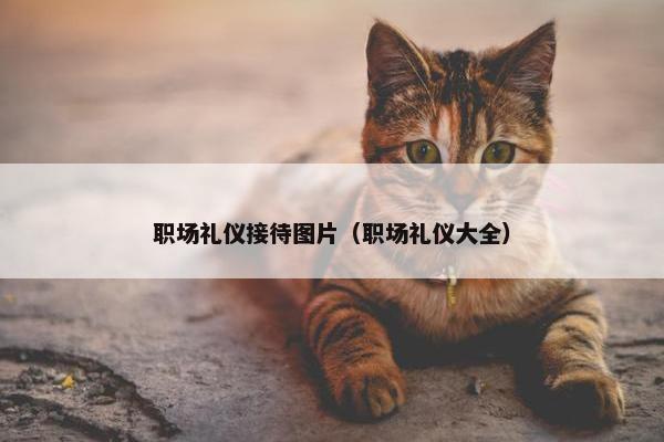 职场礼仪接待图片（职场礼仪大全）