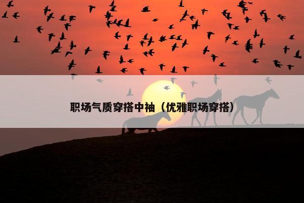 职场气质穿搭中袖（优雅职场穿搭）