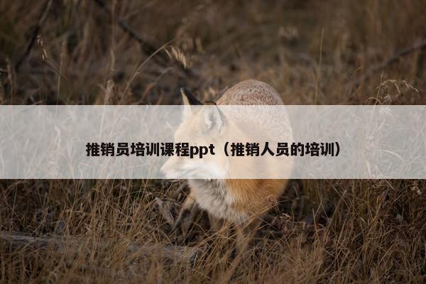推销员培训课程ppt（推销人员的培训）