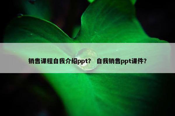 销售课程自我介绍ppt？ 自我销售ppt课件？