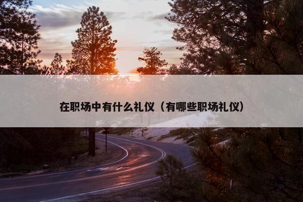 在职场中有什么礼仪（有哪些职场礼仪）
