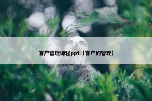 客户管理课程ppt（客户的管理）