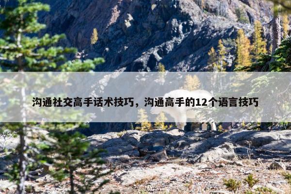 沟通社交高手话术技巧，沟通高手的12个语言技巧