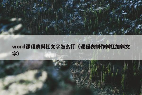word课程表斜杠文字怎么打（课程表制作斜杠加斜文字）