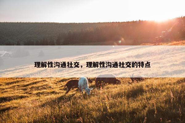 理解性沟通社交，理解性沟通社交的特点