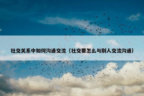 社交关系中如何沟通交流（社交要怎么与别人交流沟通）