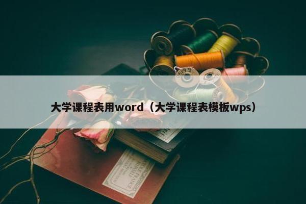 大学课程表用word（大学课程表模板wps）