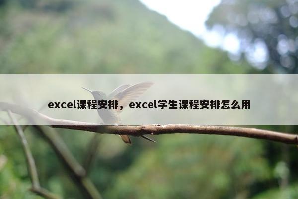 excel课程安排，excel学生课程安排怎么用