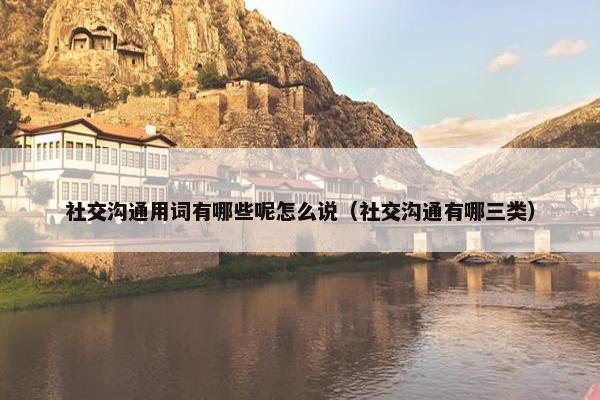 社交沟通用词有哪些呢怎么说（社交沟通有哪三类）